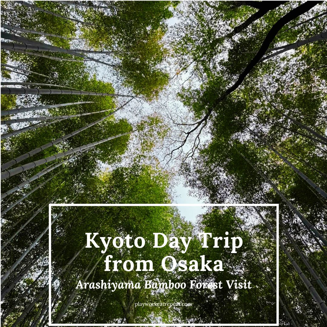 Kyoto Day Trip from Osaka