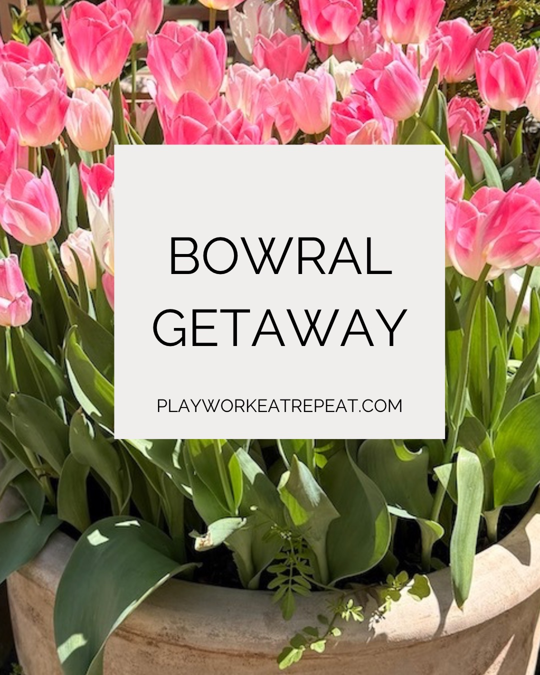 Bowral Getaway – PLAYWORKEATREPEAT